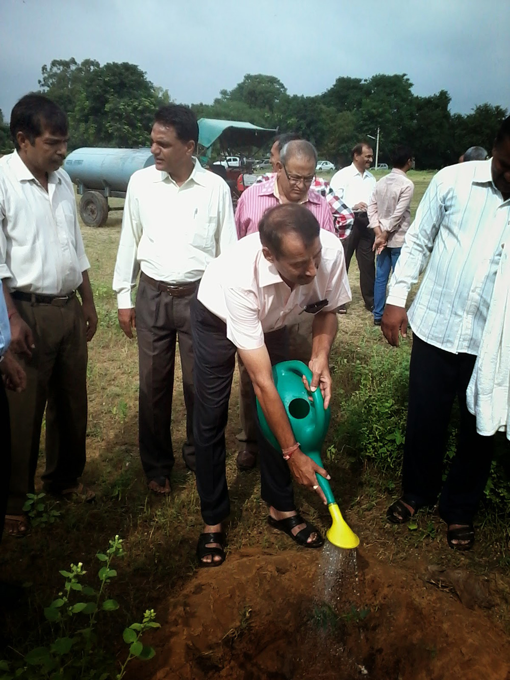 Massive plantation in leadership of director at CSWRI farm Avikanagar at different locations on dated 5.09.2014 on the eve of teacher day