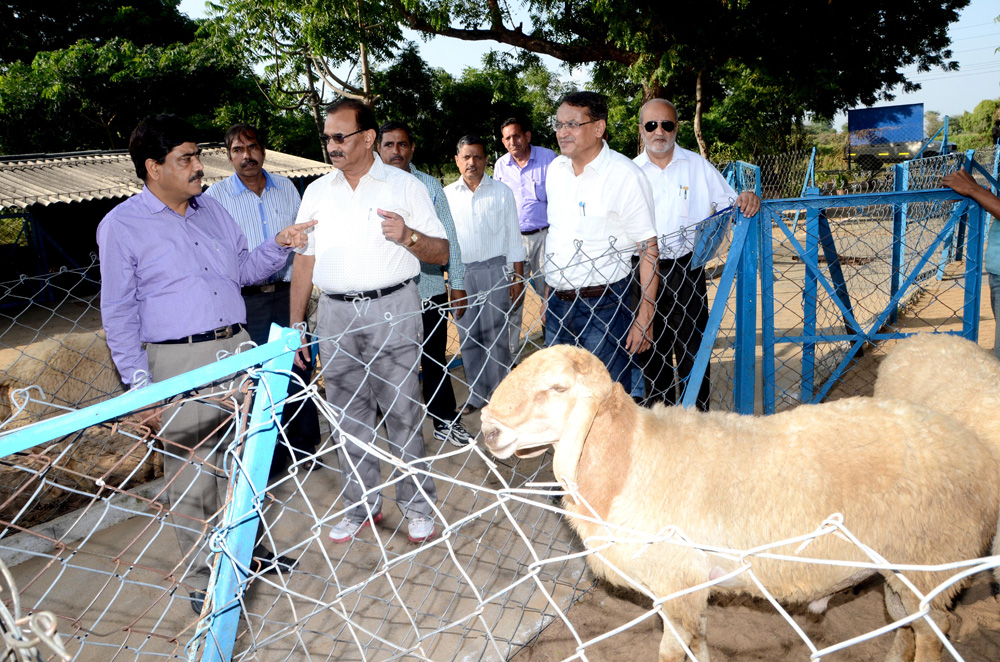 Visit to animal sectors