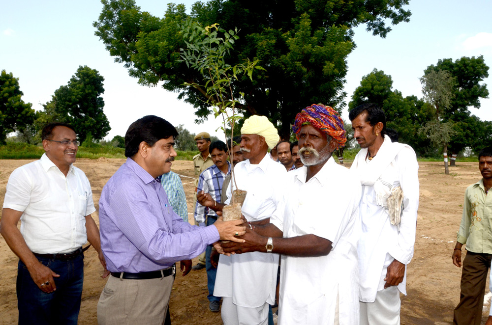 Tree sapling distribution to farmers