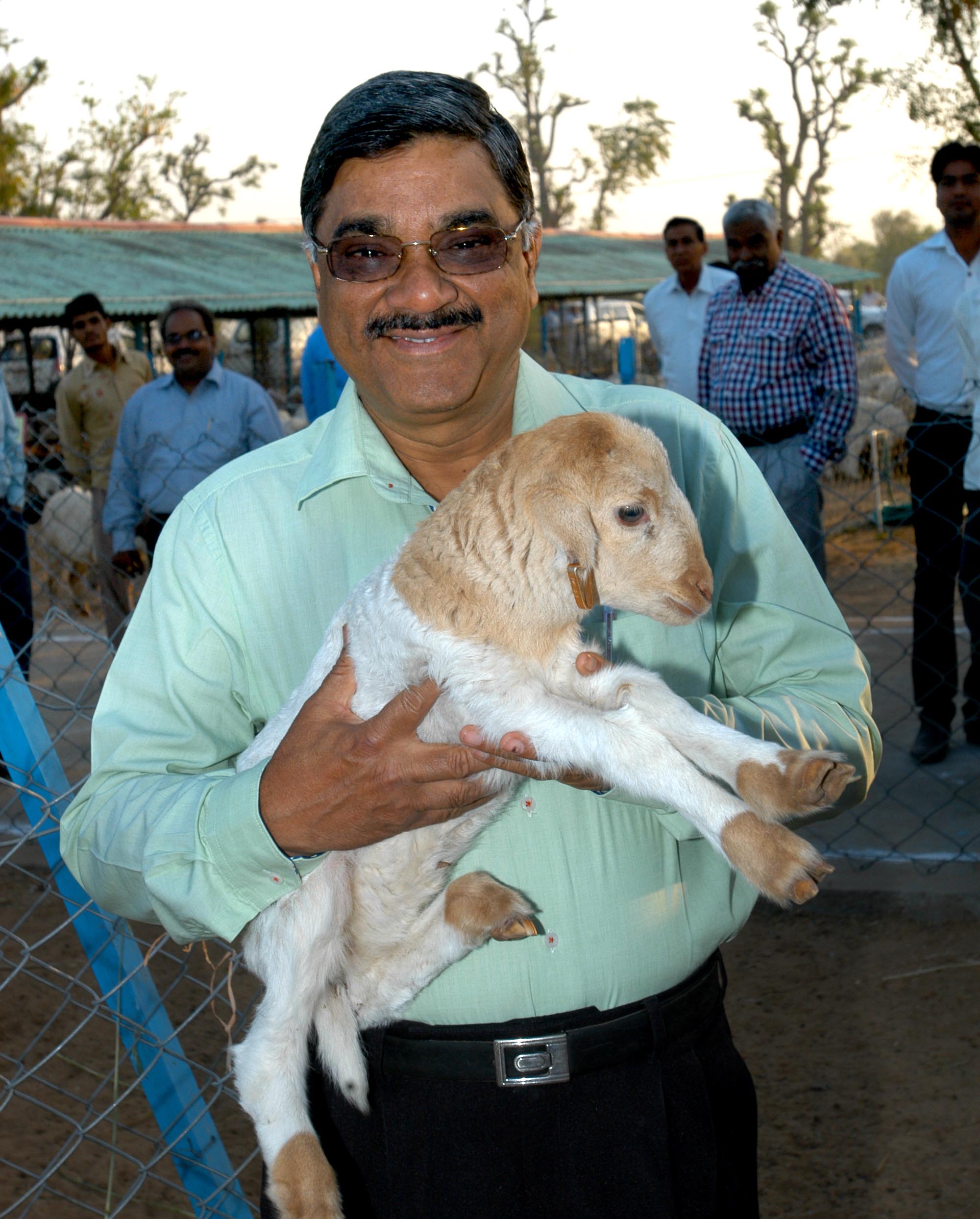 Managing Lambs at Sheep Sector No 9